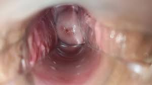 Ejaculate and sperm in vagina fuck jpg x Ejaculate inside