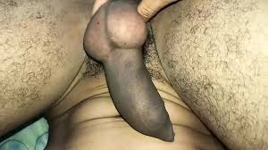 Assis sur une bite jpg x 25 cm