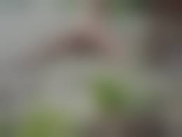 young nudist cumnudist girls showering|Nudist Shemale Porn Videos