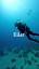 The Enigmatic Charm of Underwater Caving ile ilgili video