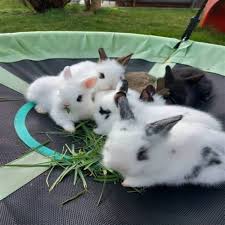 valentina ortega ttl model nude|Προσφορές Παπούτσια 2024 με έκπτωση 40% - shoes & style