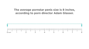 Is dick small or average opinions pornhub gay jpg x Normal size dick