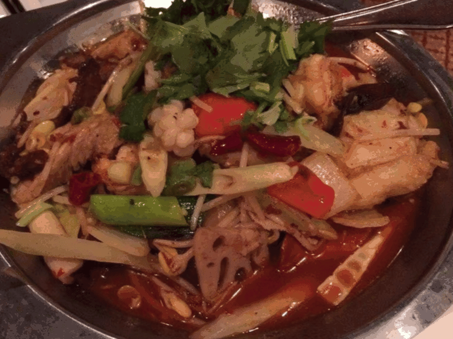 New Haven's Taste of China by null