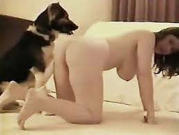 Woman dog sex free porn jpg x Dog sex with women