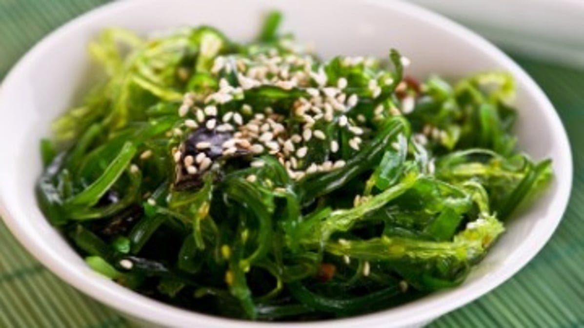 Lotus Garden by null