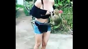 Monkey man fucks a girl jpg x Monkey fucks girl