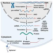Han Chae-ah fakenude|The Glory: Meet the Cast of the Korean Drama Series - Netflix Tudum