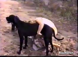 Zoo retro porno video horse threesome zootube videos jpg x Of zoo videos