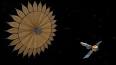 The Fascinating World of Origami: Paper Folding as Art and Science ile ilgili video