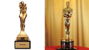 Award winning avn jpg x Award winning avn
