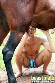 Artofzoo animal sex lupe and micha zootube videos jpg x Human and animal sex