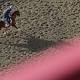 Derby winner Nyquist ready for Preakness, even a rainy one 