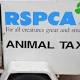 Dogs 'suffered greatly' before death, RSPCA 