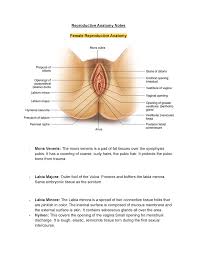 pubis spread|Orchard Health Clinic | #OHCTruths Did you know - About 25 ...