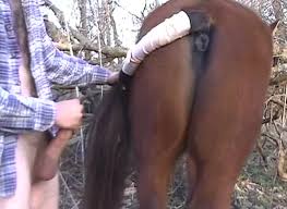 Femefun horny farm girl having horse sex with giant horse cock luxuretv jpg x Woman has sex with horse