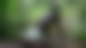 Tribal women fuck|Tribal Princess Worships my Big White Cock´n Swallows Cum Outdoors -ella B  - Pornhub.com