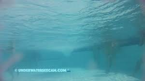 Underwater amateur jpg x Underwater amateur