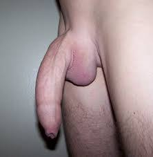 Uncut cock with long foreskin jpg x Long foreskin