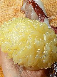 (45ー100)||pimpandhost imagesize:864x1152 40 |marilyn boatneck sequin top Bootlegger 2000007762