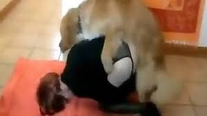 Girl has sex with dog on camera free bestiality and animal porn jpg x Girl and dog sex