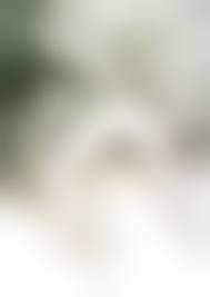 少女　レイプ　死体|閲覧注意】絶対レイプされただろ…半裸のパイパン少女が発見される。 | 閲覧注意グロ動画・衝撃映像のソルカブ