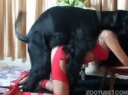 Extreme dog porn threesome with amateur women jpg x Amateur dog