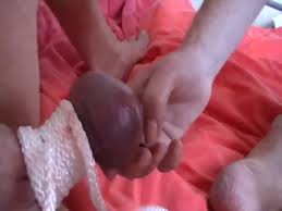Balls in pussy jpg x Balls in pussy
