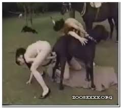 Teens fucking animals jpg x Teens fucking animals