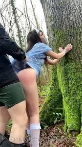 Outdoors showing on the wild forest road jpg x Wild forest