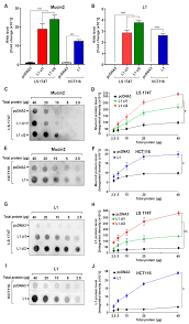 ls- nude lsm 6|楽天市場】【SALE】再値下げ ブロックカラー 無地 ハイウエスト マキシスカート ロングスカート LAインポート レディース 全7色 S M L  XL【ネコポス可】[] : HotClothing LAインポート＆ドレス