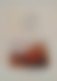 Eva Ionesco catawiki|