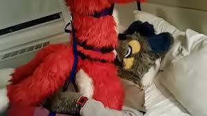 Gay fursuit jpg x Gay fursuit