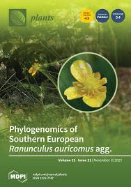 son na eun  fake nude|チャ・ウヌがサンローラン2025春夏コレクションに登場🌹 | TikTok