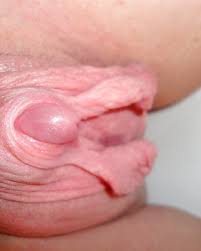 Clit close jpg x Clit close up