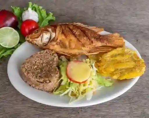 Restaurante y Cevicheria Sazon Costeña by null