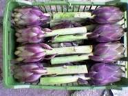 artichaut violet