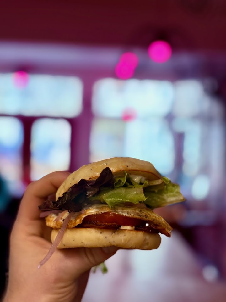 Ugly Duckling Maine by null