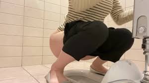 Japanese public toilet jpg x Japanese public toilet