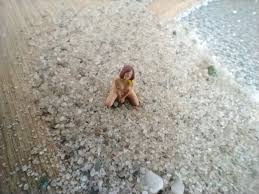 little nudismの|Little Girl On Beach Doing Water Stock Photo 478987090 | Shutterstock