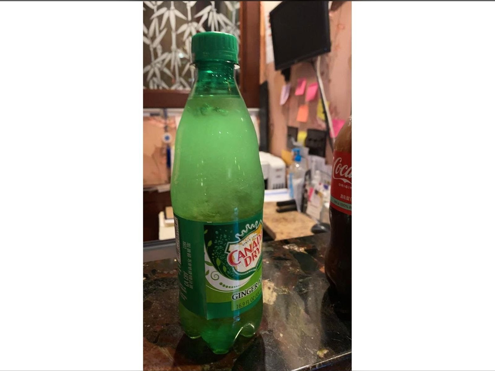 Chen's Garden by null