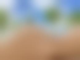 雞排妹 全裸|露點被看光？雞排妹裸體床照瘋傳無碼穿幫了| 蕃新聞