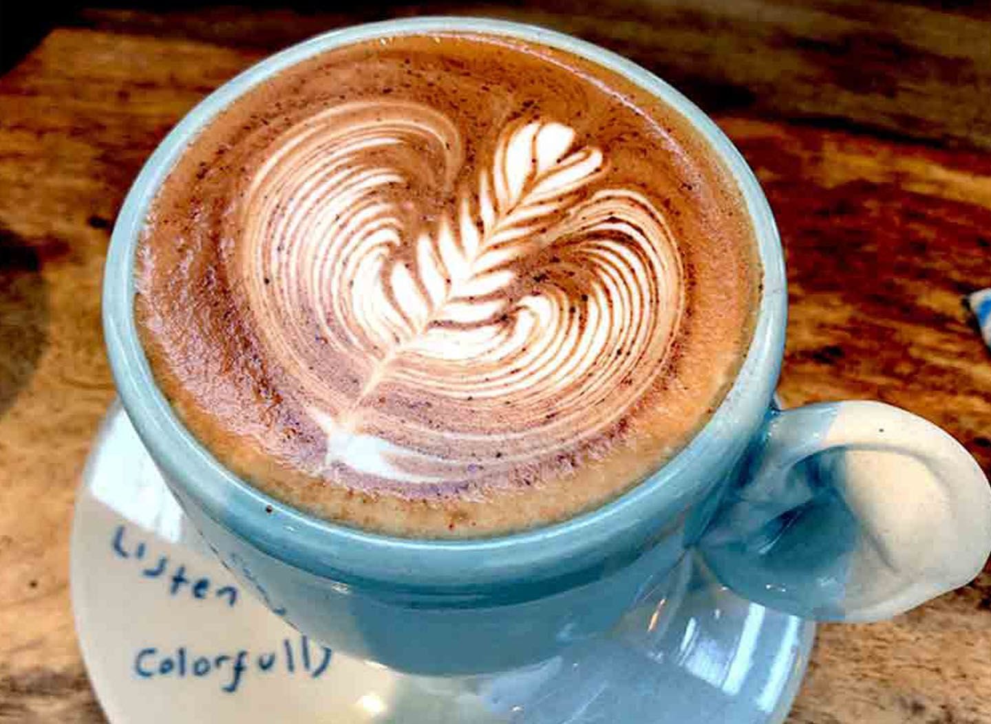 The Social Space by null