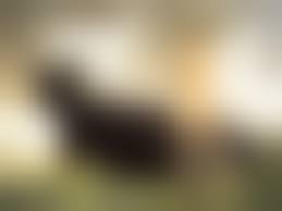 badonion hentai 3d 16|Comics And Image Sets [BadOnion] - Fatal Error - AllPornComic