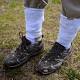 Tick season forecast: 'Particularly bad' 