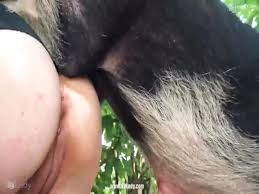 Woman with big pussy fucking naughty pig zoo porn jpg x Pig sex