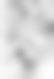 hairy　エロ|Hairy Pussy P.O.V. - 【エロ動画・裏DVD・無修正DVD・ストリーミング販売 裏DVDネクスト】