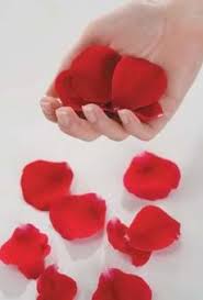 أكلات خفيفة 2013 طريقه العدس
