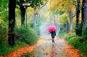 چه زود دیر میشود...