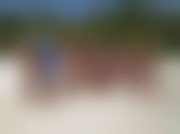 nude beach embarassed|Two topless and very embarrassed girls on the beach Porn Pic - EPORNER