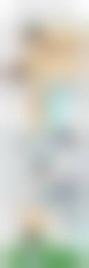 修学旅行　風呂| / X